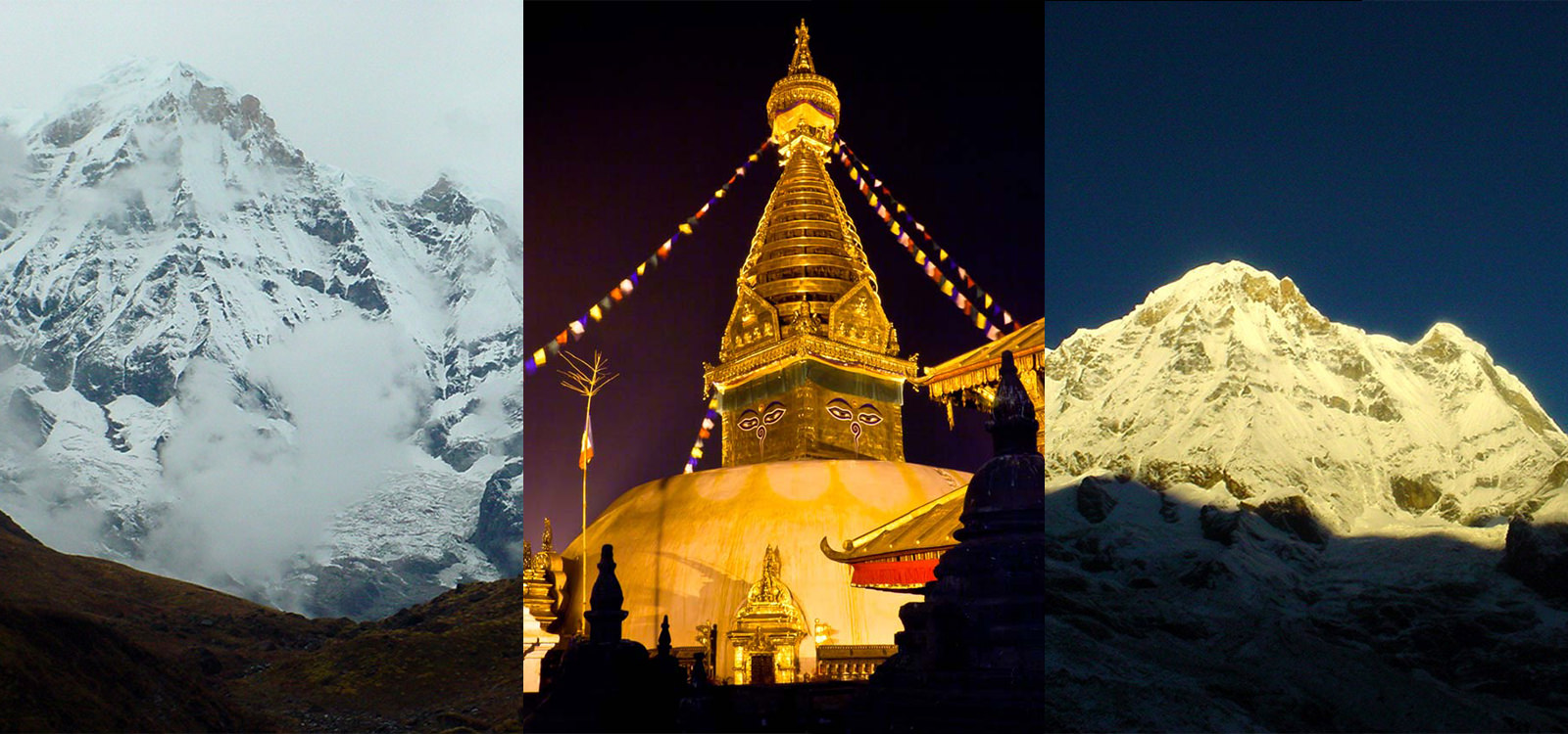 Annapurna Mountain View